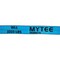 Mytee Products 20Pcs 2 in x 30 ft Heavy Duty Blue Winch Straps Tie Down w/Flat Hook WLL# 3,333 lbs, 20PK WS230Bx20 - alternate 2