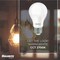 Bulbrite LED Filament PK of 25, 8.5 W Non-Dimmable A19 Light Bulb with Frost Finish and Medium Screw E26 Base 774251 - alternate 2