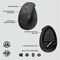 Logitech Lift Ergo Mouse for Biz Graph 910006492 - alternate 1
