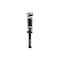 Fcs Struts Suspension Strut And Coil Spring Assembly 2345842R - alternate 2