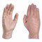 Ammex Professional Vinyl Exam Gloves, Powder-Free, Medium, Clear, 100PK VPF64100 - alternate 2