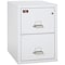 Fireking 2 Drawer, 2 Hr Fire & Impact Rated, Vertical, 31" depth Letter Arctic White 2-1929-2AW - alternate 1