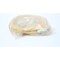 Reis PHG10 PENDANT CORDSET CABLE 7.5M 2140376 - alternate 2