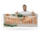 Signmission Tangerines, 36 Inch x 96 Inch, Vinyl Banner B-96-30878 - alternate 2