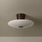 Troy Lighting Albus 15.75in wide 1 Light Integrated LED Semi Flush in Bronze Leaf C5016-BRL - alternate 2