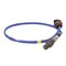 Motorcraft Oxygen Sensor,  DY1596 - alternate 1