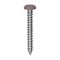Auveco 6 x 1in Tan Painted Square Drive Pan Head Tapping Screw, 100PK 25362 - alternate 1