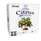 Miracle Led Citrus Tree Starter Grow Light Kit, 4KK Blue Spectrum, 2PK 803398 - alternate 1