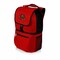Picnic Time Family Of Brands NCAA Cornell Big Red Zuma Backpack Cooler - Soft Cooler Backpack - Lunch Cooler, Red 634-00-100-684-0 - alternate 1