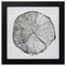Homeroots 14" X 14" Dark Wood Toned Frame Woodland Years, Set Of 2, 2PK 365764 - alternate 2