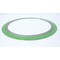 Lamons GASKET 16IN 16-150-316L-FG-ASME-B16-20 - alternate 2