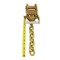 Mytee Products 2in Ratchet with 5/16in G70 12in Chain Extension, 3335 lbs WLL RB2-CE - alternate 2