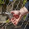 Corona Tools Thinning Shears FS 4350 - alternate 2