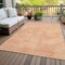 Homeroots 3' X 5' Peach Washable Indoor Outdoor Area Rug 598836 - alternate 2