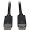 Tripp Lite DisplayPort Cable, Latches, 4Kx2K, M/M, 1ft P580-001 - alternate 1