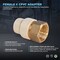 Everflow FIPxPVC Adapter Pipe Fitting 1/2" BRCPF012-NL - alternate 2