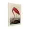 Trademark Fine Art Outdoor Canvas Art John James Audubon 'American Flamingo' Wall Art for Patios, or Gardens AA01276-OC1624WR - alternate 2