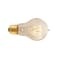 Ilc Batteries and Light Bulbs Replacement 60W A19 Antique Light Bulb - 200LM, 3000HR Life NOS60-VICTOR - alternate 2