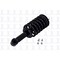 Fcs Struts Suspension Strut And Coil Spring Assembly 3355037 - alternate 2