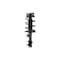 Fcs Struts Suspension Strut And Coil Spring Assembly 2331579R - alternate 1
