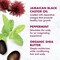 Shea Moisture Jamaican Black Castor Oil Strengthen Grow Hair Oil, 3.2 Fluid Ounce, 24PK 68417123 - alternate 1