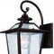 Homeroots Antique Bronze Terrarium Shape Wall Light 398644 - alternate 2