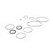 Fill-Rite Viton Seal Kit SK20VIT-V06 - alternate 2
