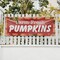 Signmission Farm Fresh Pumpkins, 36 Inch x 96 Inch, Vinyl Banner B-96-30612 - alternate 2