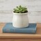 Homeroots White Ceramic 25 Ounce Striped Round Distressed Pot Planter 487413 - alternate 2