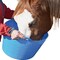 Tuff Stuff Products 7 Gal. Sky Blue Plastic Flex Tub F7-SBL - alternate 2