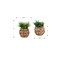 Monarch Specialties Artificial Plant, 9-in. Tall, Succulent, Table, Brown Woven Basket, Contemporary, Modern, 2PK I 9369 - alternate 2