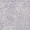 Homeroots 9' X 12' Lilac And Ivory Geometric Washable Indoor Outdoor Area Rug 595089 - alternate 2