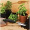 Best Garden 13'' Multi-Function Garden Transplanter GT-965US - alternate 2