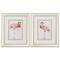 Homeroots 10" X 12" Champagne Gold Color Frame Pink Showoff, Set Of 2, 2PK 365108 - alternate 1