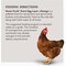 Kent Home Fresh Extra Egg Layer + Omega 50 Lb. Pellet Feed 3684 - alternate 2