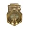 Discover 3 in. Threaded Brass Swing Check Valve FxF 102306 - alternate 2
