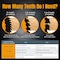 Powertec 6-1/2" Circular Saw Blade, 5/8" Arbor, 1/16" Kerf, 40T Carbide-Tipped Blade for Wood Cutting 14023 - alternate 2