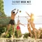 Vevor Freestanding Volleyball Training Net with Stand Carry Bag Indoor Outdoor JH-204 - alternate 2