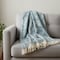 Homeroots 50" X 60" Blue and White Woven Cotton Throw Blanket with Fringe 516537 - alternate 2