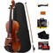 Pyle 1/4 Size Beginner Violin Starter Kit, Violin Starter Package with Travel Case & Bow, Extra Strings PGVILN14 - alternate 1