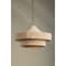 Troy Lighting Thurso 1 Light Pendant by Chandler McLellan, Bronze, 30 In x 20.75 In F3130-BRZ - alternate 2