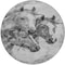 Homeroots 8' Gray And Silver Round Horse Washable Indoor Outdoor Area Rug 618675 - alternate 3