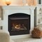 Duluth Forge Natural Gas Ventless Gas Fireplace Insert - 26,000 BTU, Remote Control FNF300R - alternate 2