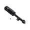 Fcs Struts Suspension Strut And Coil Spring Assembly 3335850 - alternate 2