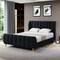 Homeroots Black Solid Wood Queen Tufted Upholstered Velvet Bed Frame 544850 - alternate 3