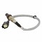 Motorcraft Oxygen Sensor,  DY1281 - alternate 1