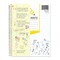 Roaring Spring DoodleWrite Wide Ruled Notebook, 1, PK24 11101CS - alternate 3