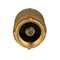 Water Source CCC-100NL Check Valve, 1 in, Brass Body CC100-NL - alternate 3