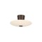 Troy Lighting Albus 15.75in wide 1 Light Integrated LED Semi Flush in Bronze Leaf C5016-BRL - alternate 1