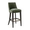 Manhattan Comfort Beever Chenille Wood Upholstered Barstool in Forest Green BS027-GR - alternate 1